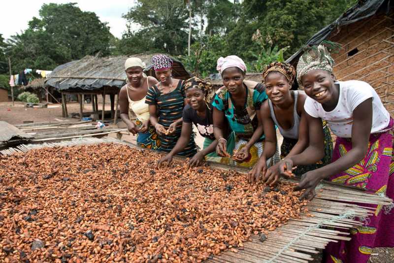 ./include/uploads/nodo/Oxfam-Fair-Trade.-Cacao-Equidad.jpg